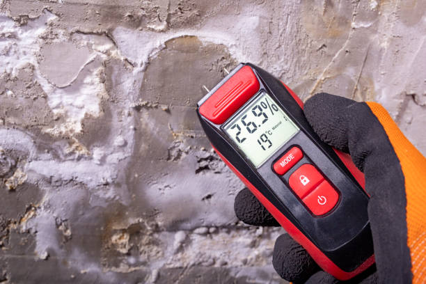 Best HVAC Mold Remediation in Fillmore, UT