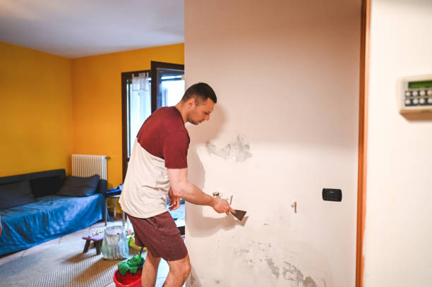 Best Commercial Mold Remediation in Fillmore, UT