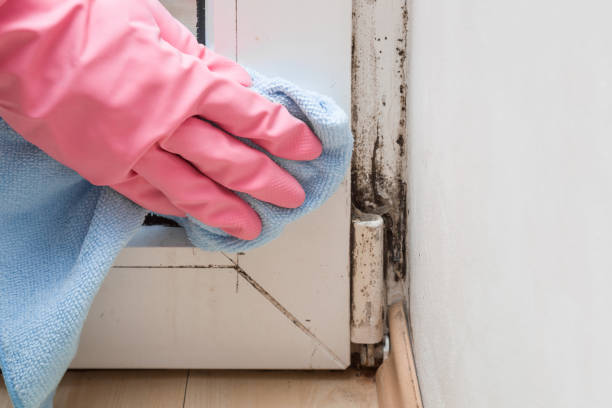 Fillmore, UT Mold Remediation Company